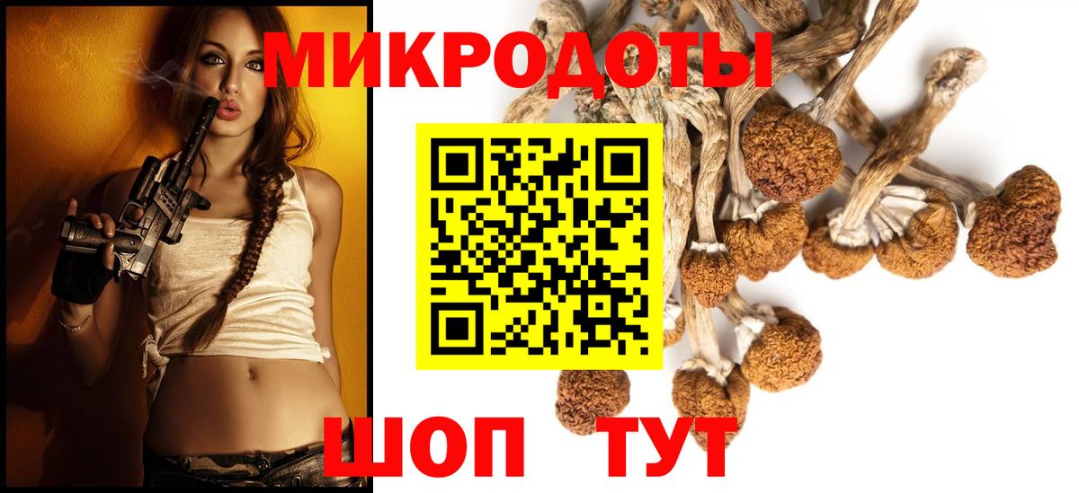 Псилоцибиновые грибы прущие грибы  Псилоцибиновые грибы прущие грибы  Вход с VPN  наркота  Горно-Алтайск 