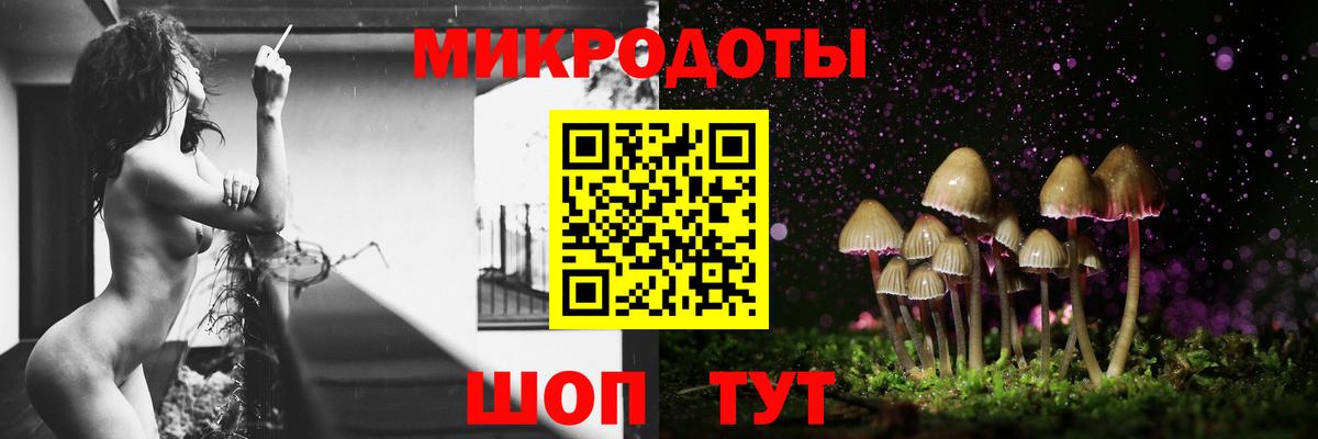 Галлюциногенные грибы Psilocybine cubensis Горно-Алтайск